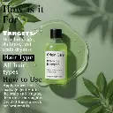 WhatsApp Image 2025-08-12 at 10.23.08 AM (2).webp